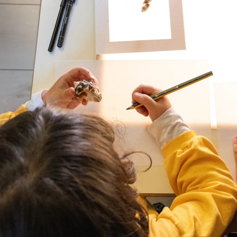 Bambini che osservano le chiocciole